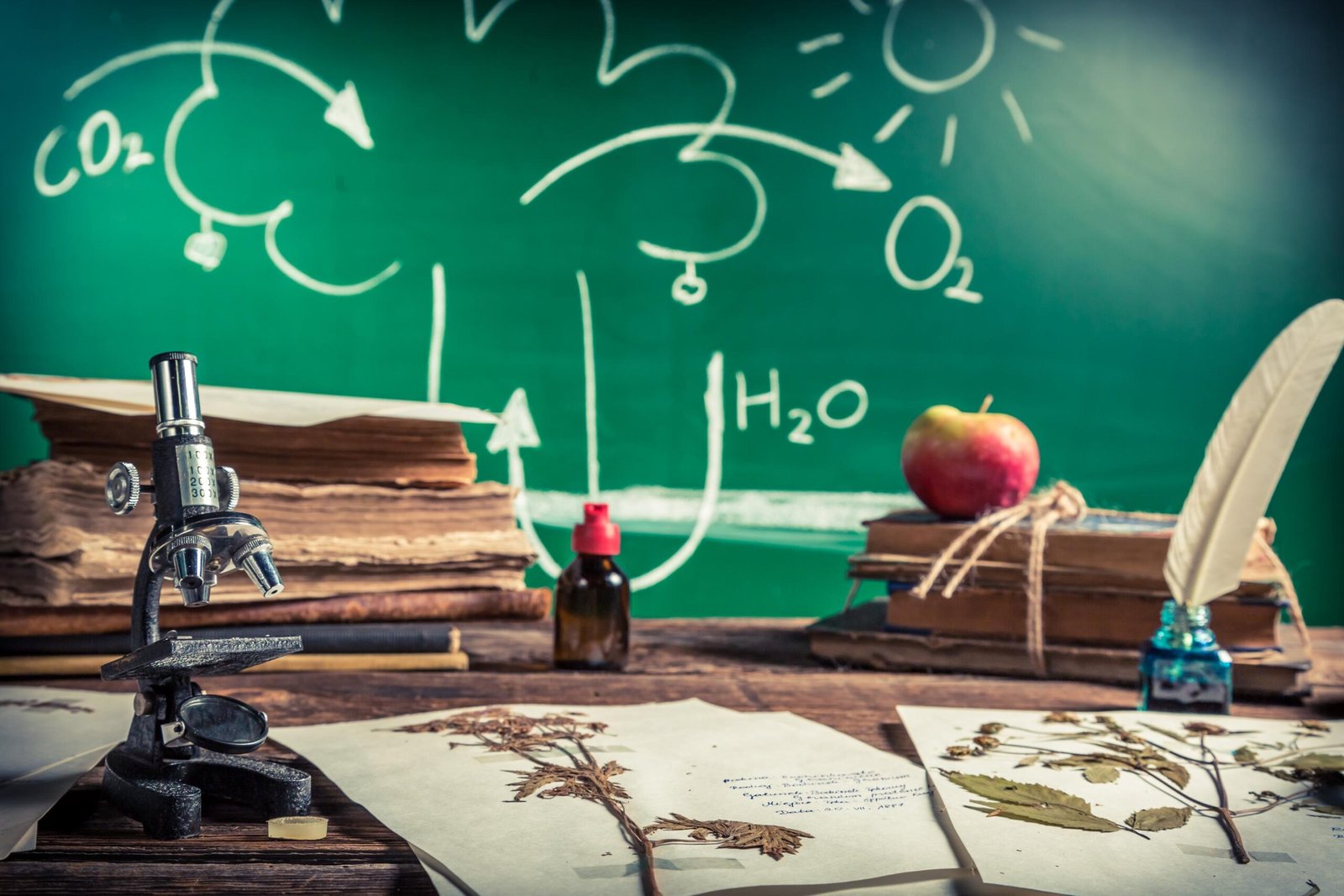 Last-Minute GCSE Science Help: What to Focus on Now