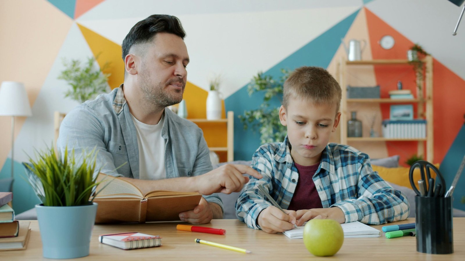 Private Tutor or Tutoring Agency